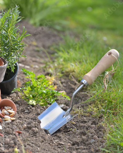 shovel planting in the soil of a garden © coco
