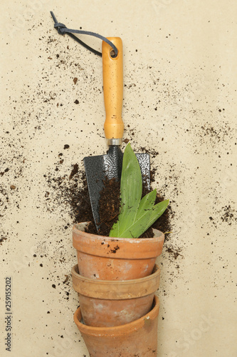 Studio shot of gardening tools. Pots, gardening trowel and soil on the brown paper background, gardening concept © triocean