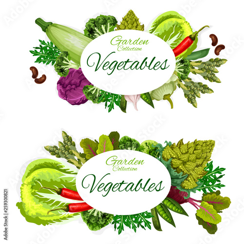 Vegetables and herbs. Healthy vegetarian food © Vector Tradition