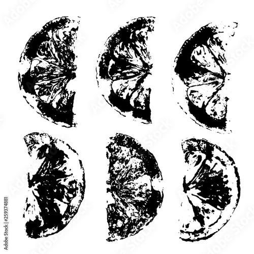 Lemons imprints fruits stamps realistic texture food vector design