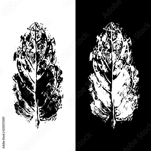 Leaves imprints pattern background peppermint stamps realistic texture vector.
