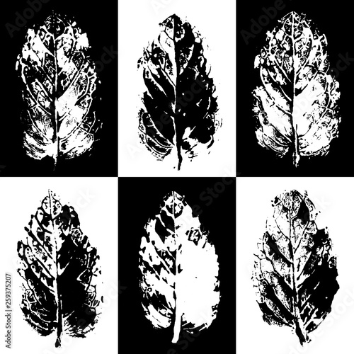 Leaves imprints pattern background peppermint stamps realistic texture vector.