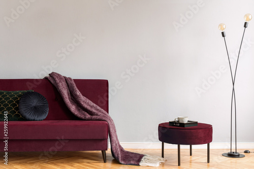 Minimalistic home interior with burgundy velvet design sofa and pouf, black lamp and elegant blanket, pillows. Copy space for inscription, mock up poster. Brown wooden parquet. Real photo. © FollowTheFlow