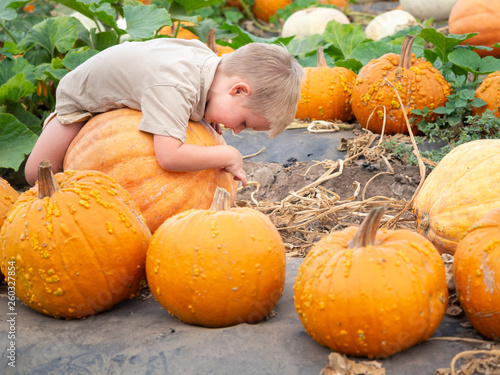 Little boy sitting on big pumpkin on farm patch © Nuli_k
