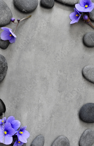 Blue flower and stone zen spa on grey background © Belight