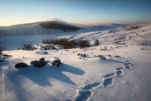 Traces Of Hiker With Snowshoes Prints On The Snow