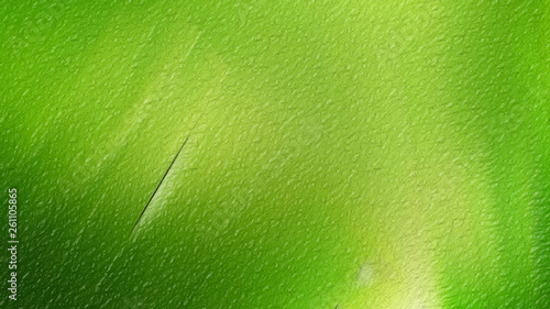 Abstract Green Texture Background Image © stockgraphicdesigns