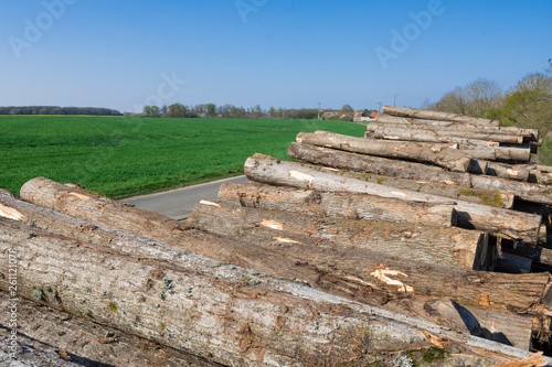 stockage de bois pour l'industrie © n3d-artphoto.com