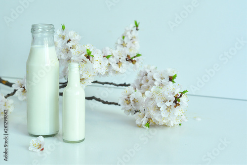 Two bottles of fresh milk with apricot flowers on white background. Fresh milk from the farm. Dairy product.