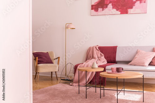 Lamp between armchair and sofa with pink and red blanket in flat interior with tables. Real photo © Photographee.eu