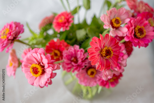 Beautiful and delicate summer flowers called Gerberas on a white background © Елена Карпушина