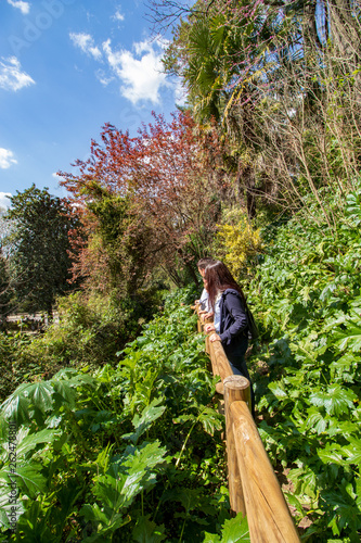 people admiring the garden surrounded by green vegetation.jpg