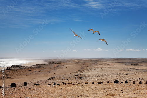 Skeleton Coast, Namibia © Dmitry Pichugin