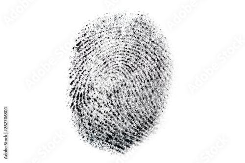 Real fingerprint on white background. Dactylogram, biometric and personal identification concept. Macro