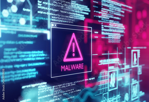 A computer screen with program code warning of a detected malware script program. 3d illustration © James Thew