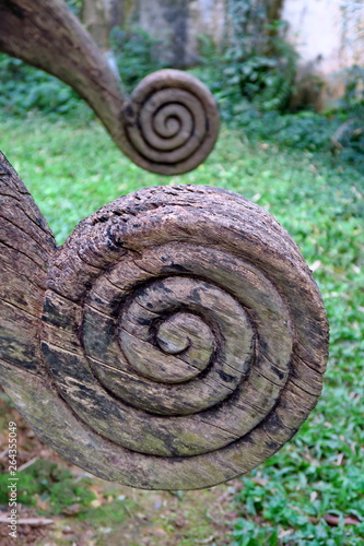 spirales de bois © Bruno Bleu